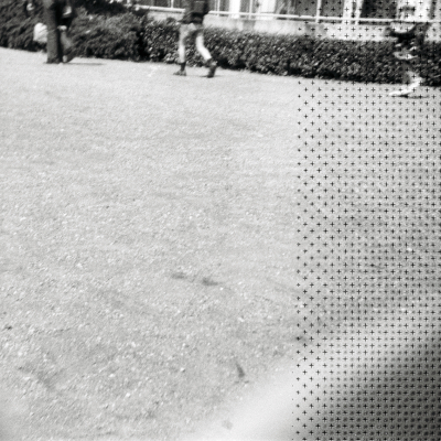 Schwarz-Weiß-Photo von Menschen im Rotterdamer Zoo Diergaarde Blijdorp und vom Ende des Schwarz-Weiß-Negativfilms. Im Jahre 1966.