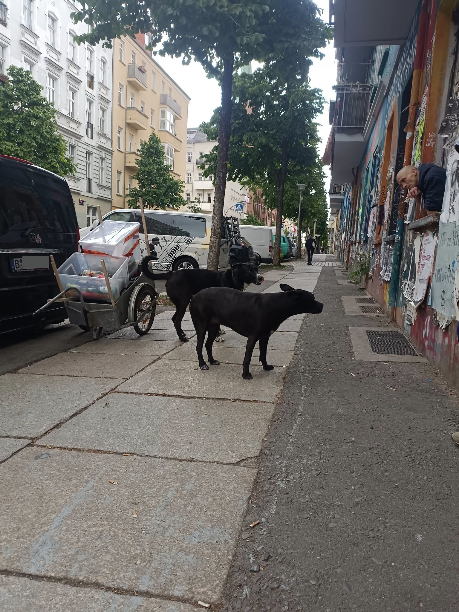 Farbfoto: Matschek und Friedrichshain im Mai des Jahres 2025. Foto: Ralf Splettstoesser.