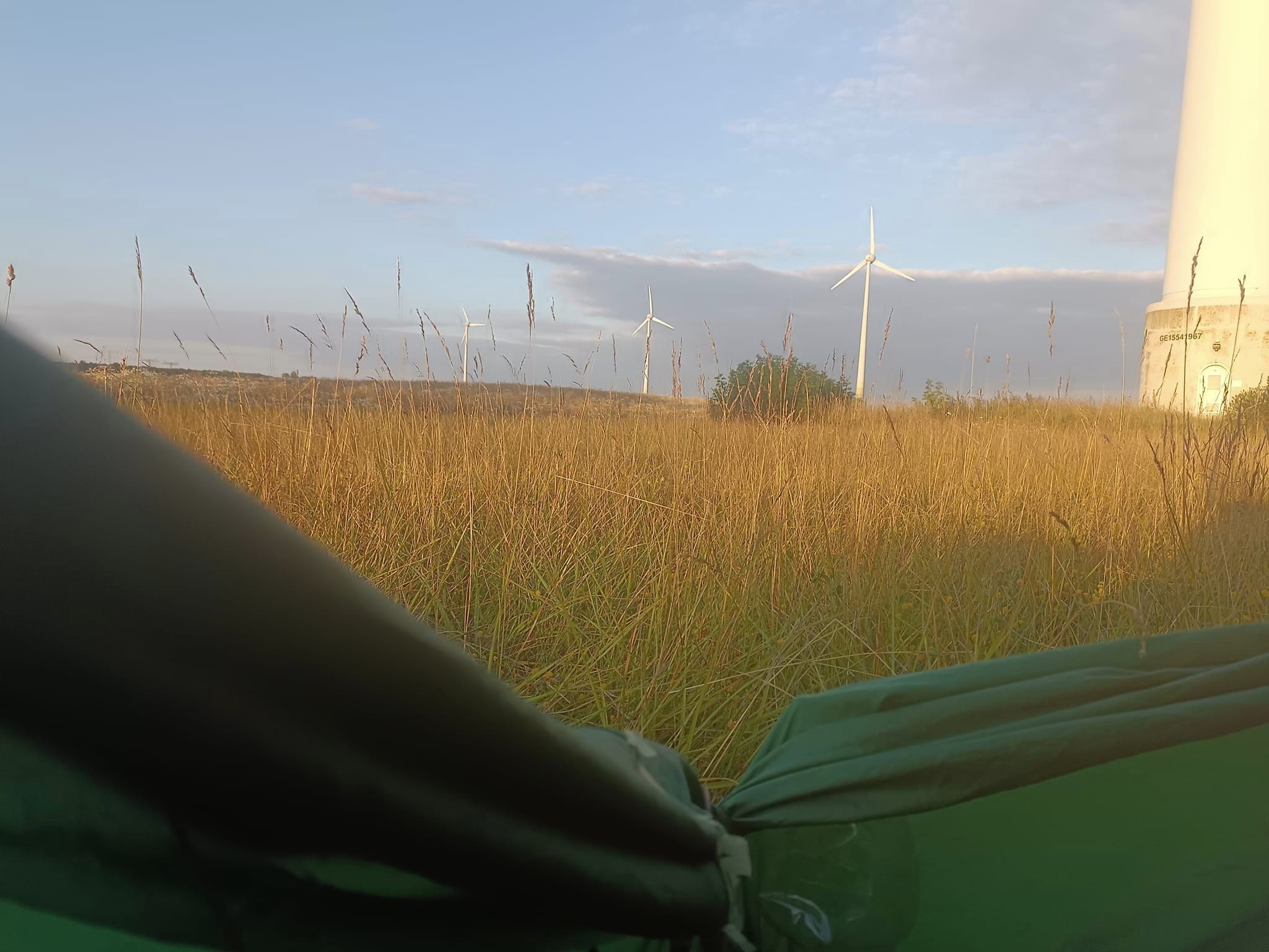 Farbfoto: Windkraftwerke im Bundesland Brandenburg in Deutschland. Juni 2024. Foto: Ralf Splettstoesser.