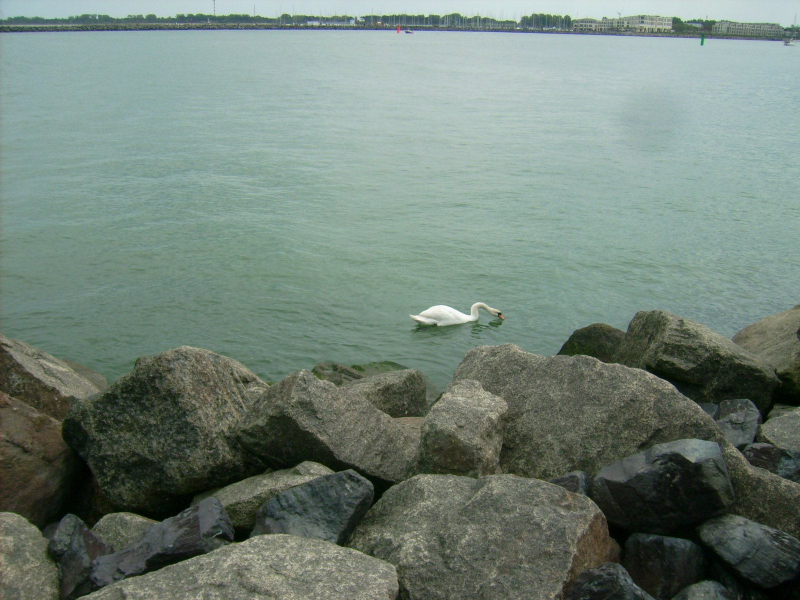 Farbfoto: Blick von der Mole in Warnemünde im Juni 2009. Fotograf: Bernd Paepcke.