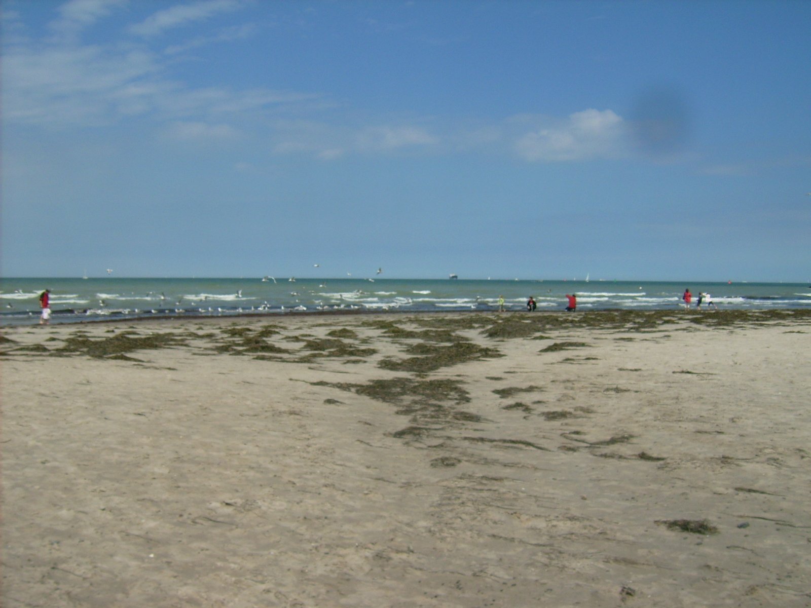 Farbphoto: Sandstrand in Warnemünde und Ostsee im Juni 2009. Photograph: Bernd Paepcke.